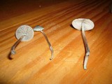 Mycena amicta image