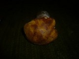 Boletus fulvomaculatus image