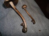 Panaeolus subbalteatus image