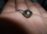 Panaeolus subbalteatus image