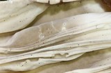 Helvella maculata image