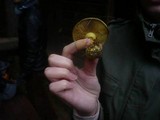 Cortinarius atrovirens image