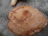 Lactarius vinaceorufescens image