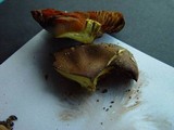 Cortinarius cinnamomeus image