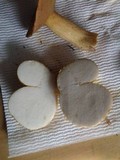 Rhizopogon occidentalis image
