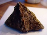Daedalea quercina image