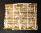 Penicillium candidum image