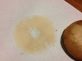 Clitocybe tarda image