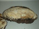 Fomitopsis mounceae image