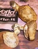 Amanita gioiosa image