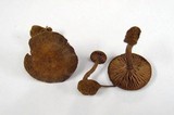 Pseudoomphalina angelesiana image