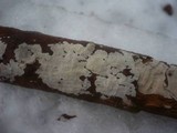 Basidioradulum crustosum image