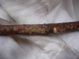 Hymenochaete corrugata image