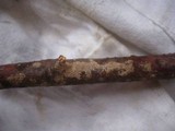 Hymenochaete corrugata image