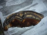 Ganoderma pfeifferi image