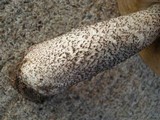Leccinum versipelle image