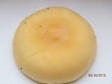 Amanita praecox image