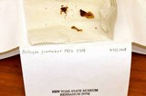 Psilocybe graveolens image