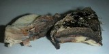 Russula densifolia image