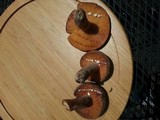 Lactarius corrugis image