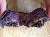 Scleroderma macrorhizon image