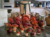 Boletus rubriceps image
