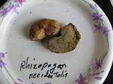 Rhizopogon occidentalis image