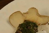 Polyporus craterellus image