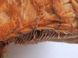 Hydnellum aurantiacum image