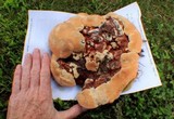 Ganoderma sessile image