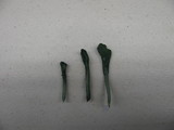 Microglossum viride image