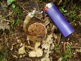 Boletus chrysenteron image