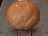 Suillus weaverae image