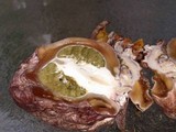 Phallus hadriani image