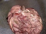 Phallus hadriani image