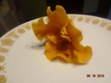 Cantharellus lateritius image