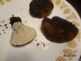 Ganoderma curtisii image