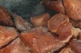 Iodophanus carneus image