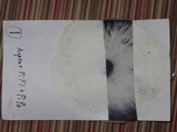 Amanita sect. Vaginatae image