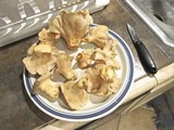 Cantharellus subalbidus image