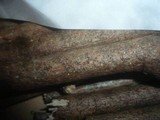 Melomastia mastoidea image