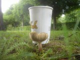 Inocybe rimosa image