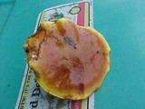 Suillus grevillei image