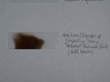 Inocybe mixtilis image