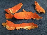 Ceriporia spissa image