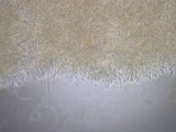 Dacryopinax spathularia image