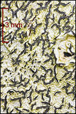 Graphis scripta image