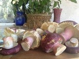 Russula xerampelina image