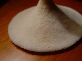 Polyporus craterellus image
