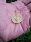 Marasmius calhouniae image